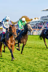 SeasonFinaleRacing_DominicJames_2025_152.jpg